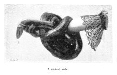 A snake-bracelet